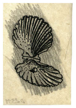 Visualizza l'immagine "FD D 2311"